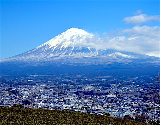 富士に見守られる市街地