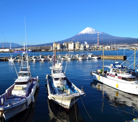 田子の浦漁港から眺める富士