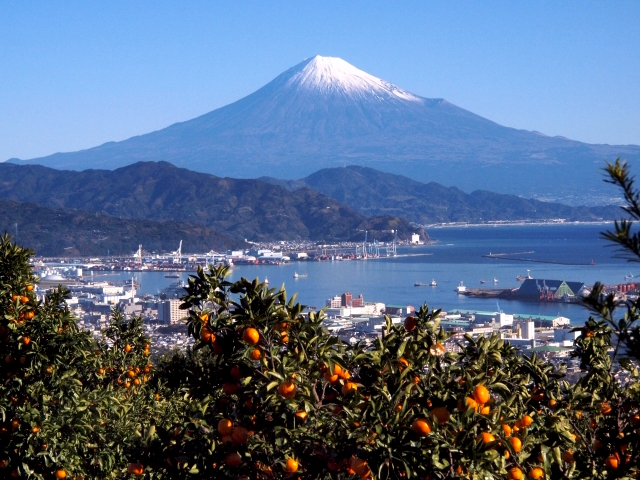 日本平から望む富士