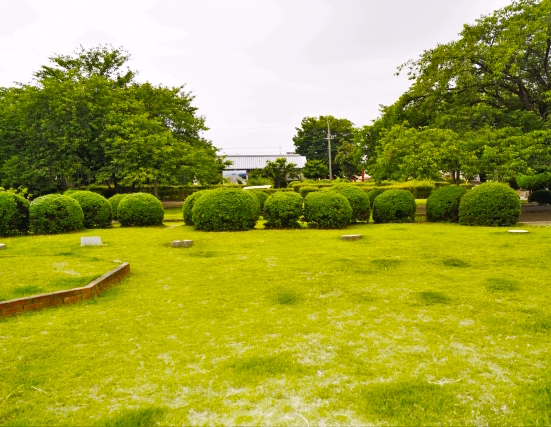 長岡京 宮殿跡